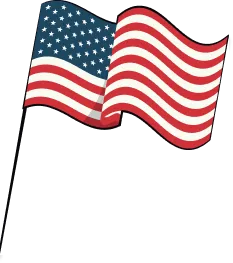 flag-p